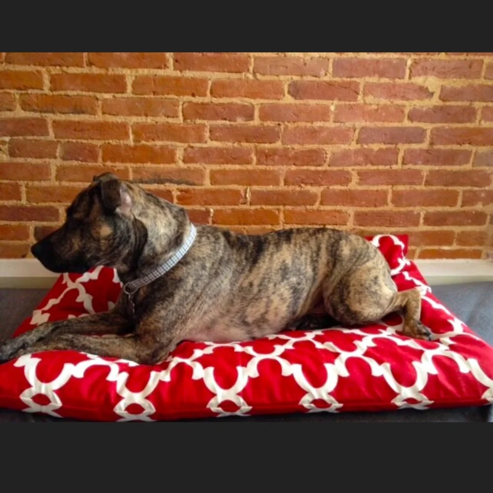 For Your Love of Dogs Red Moroccan Dog Bed Cover
